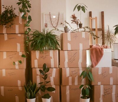 A room filled with lots of moving boxes and plants