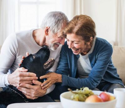 A couple aged 50+ playing with their dog at home