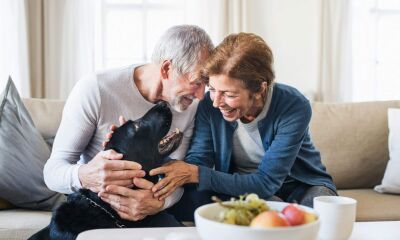 A couple aged 50+ playing with their dog at home