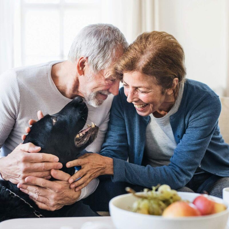 A couple aged 50+ playing with their dog at home