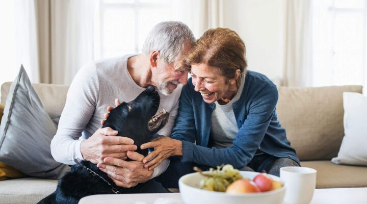 A couple aged 50+ playing with their dog at home