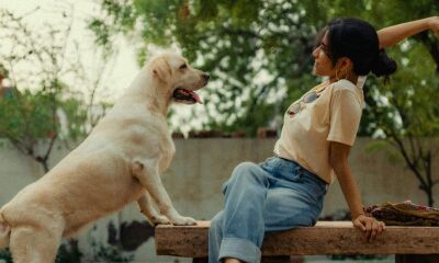A woman playing fetch with her dog in the garden