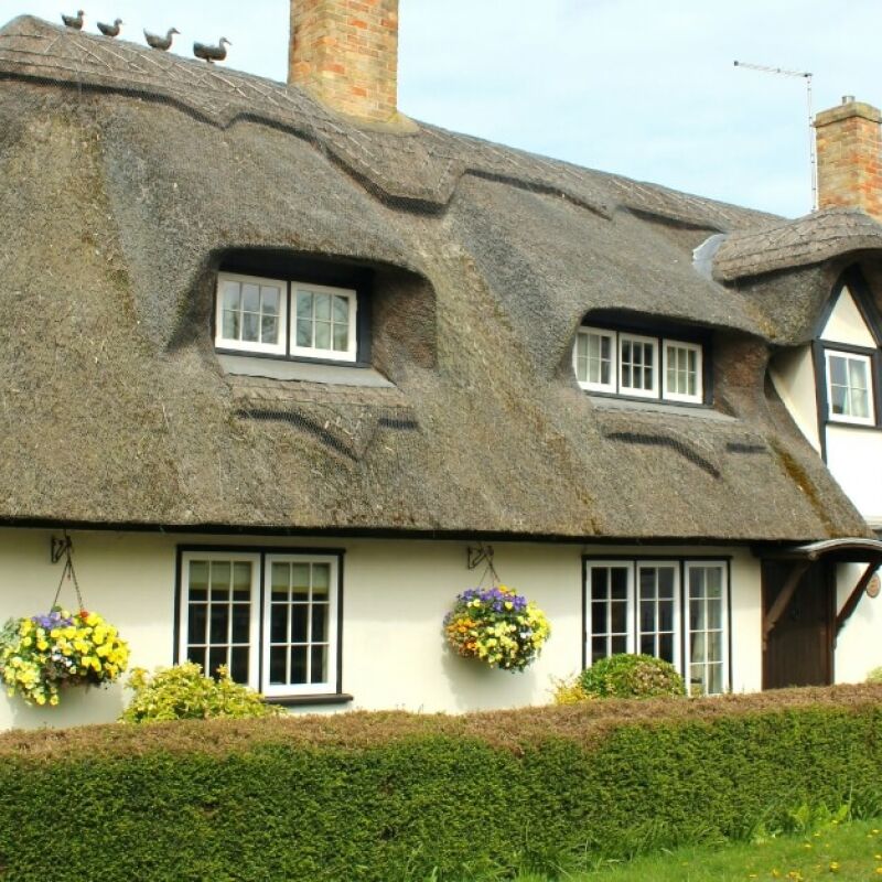 Thatched roof house which is a non-standard construction